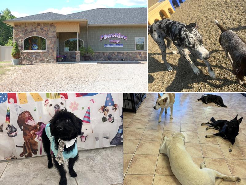 PawsItive Image Pet Resort