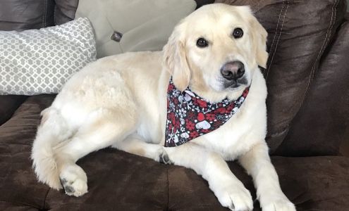 PAWSitive Karma Pet Grooming Salon, LLC