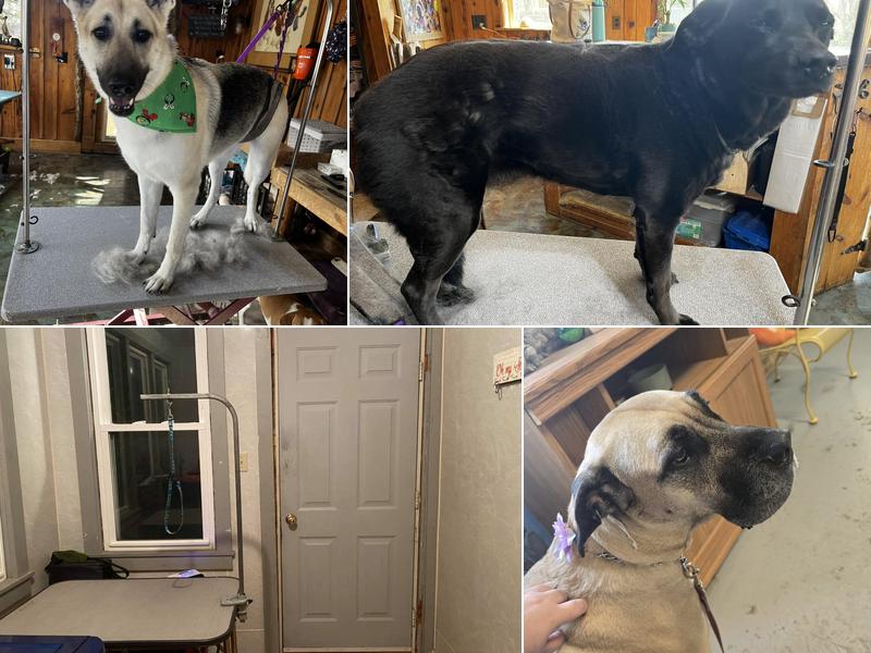 Fairytails Grooming Salon