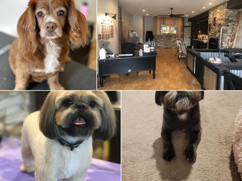 Vanity Fur at Ludwigs Corner