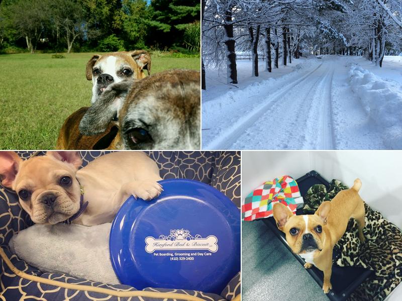 Hereford Bed & Biscuit LLC