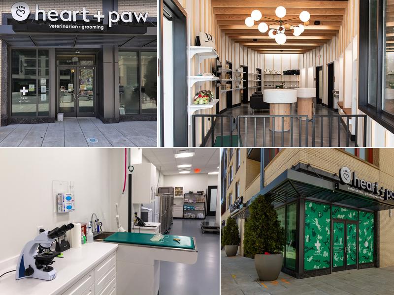 Heart + Paw