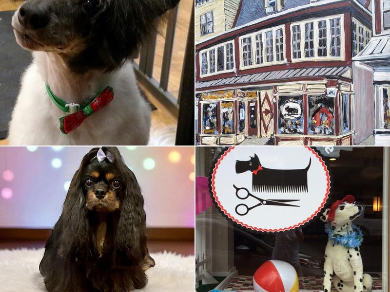 The Spa on State Pet Grooming