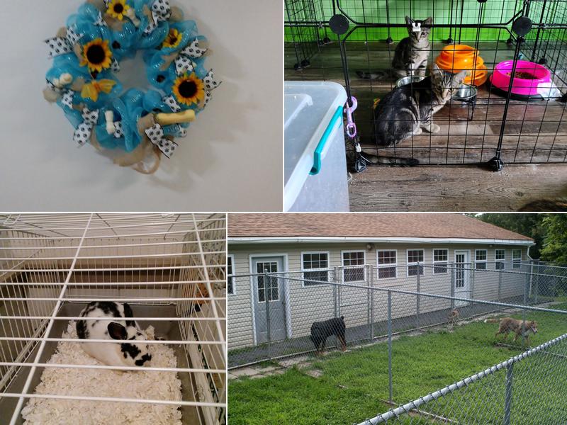 Rustic Pine Pet Lodge