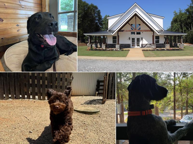 Pet Commander Kennels