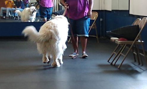 Dog Trainers Workshop and Boarding 207 Greenpond Rd, Fountain Inn South Carolina 29644