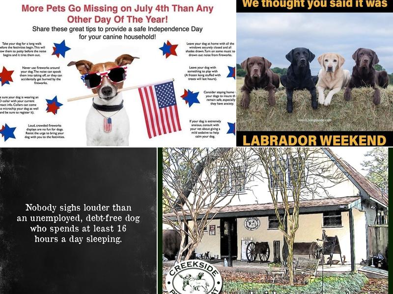 Creekside Pet Retreat and Kennel