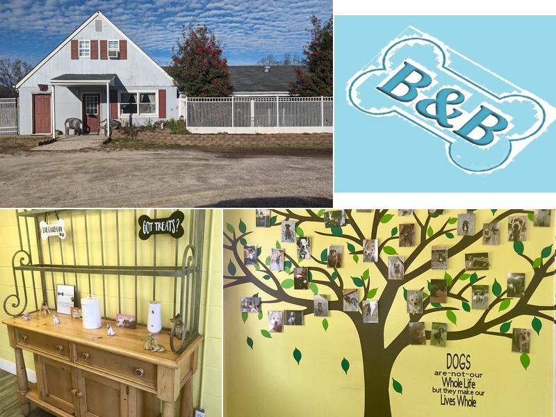 Lowrys Bed & Biscuit