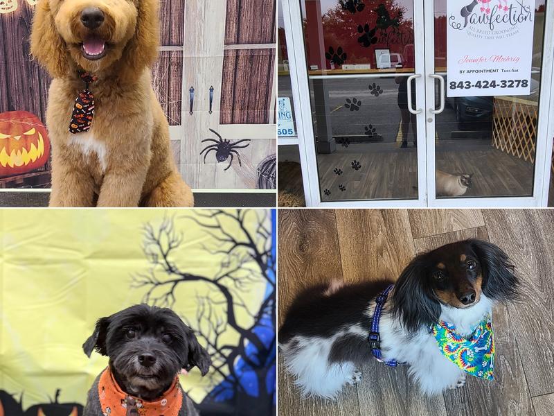 Pawfection Grooming Salon