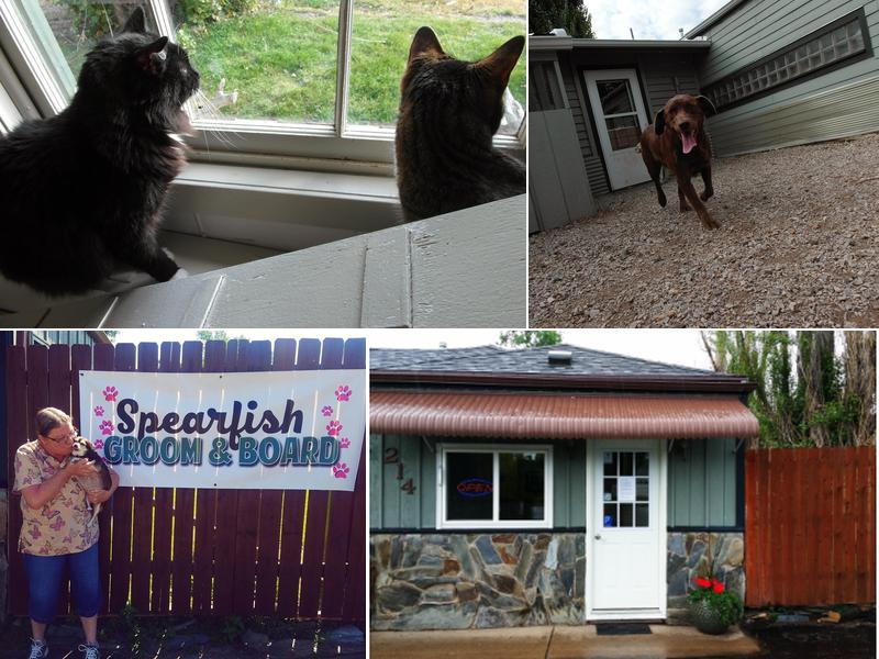 Spearfish Groom & Board