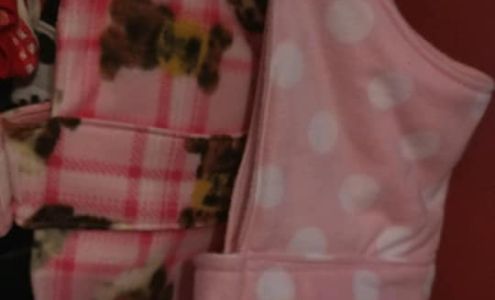 The Paw Spa 25 Kirk Rd, Deadwood South Dakota 57732