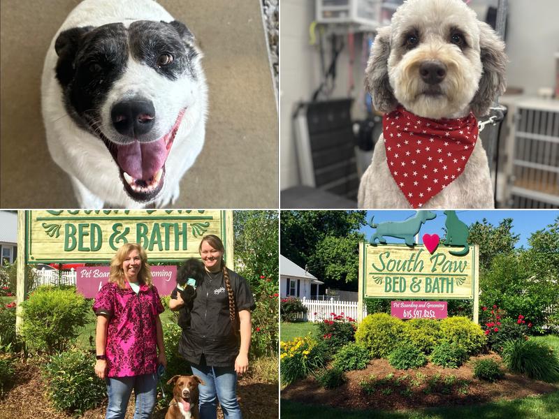 South Paw Bed & Bath