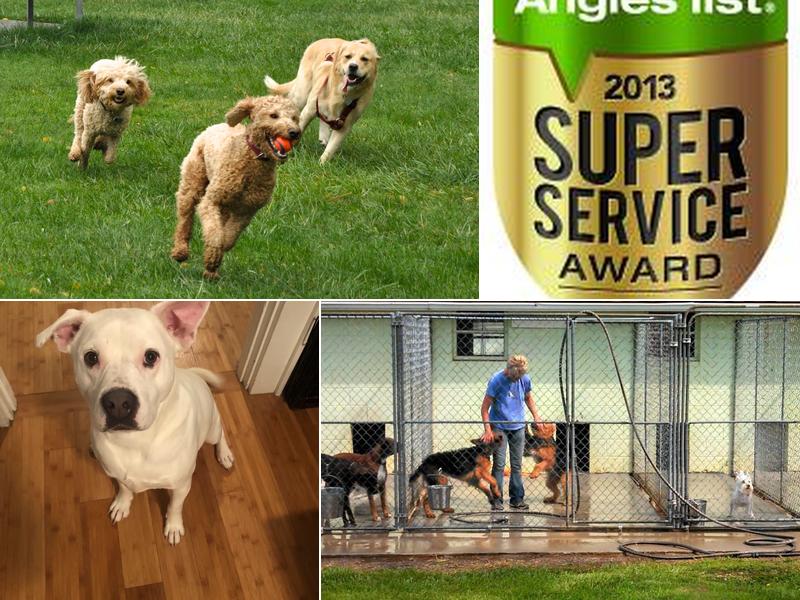 Linsmoor Boarding and Grooming