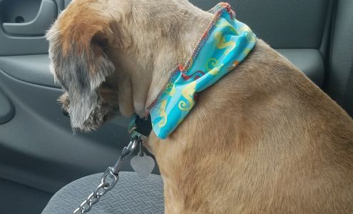 Missy & Co. Pet Grooming