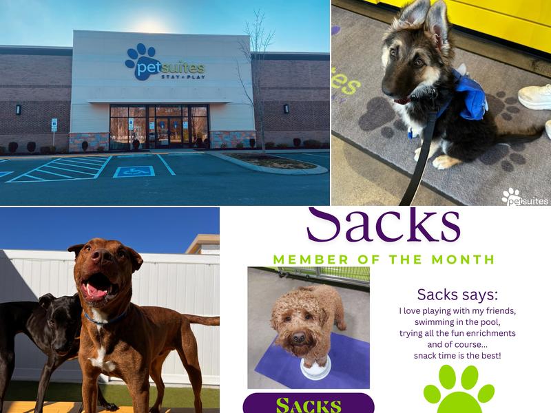 PetSuites Murfreesboro