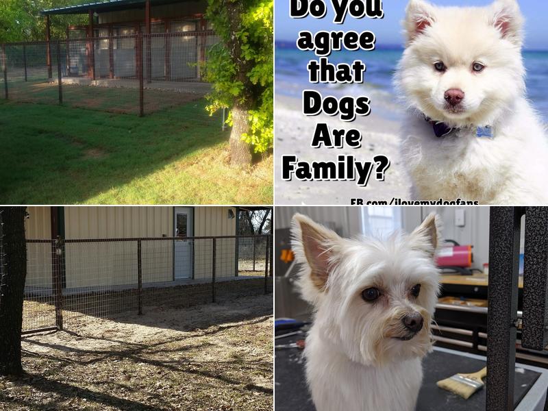 Leah's Pampered Pooch Salon