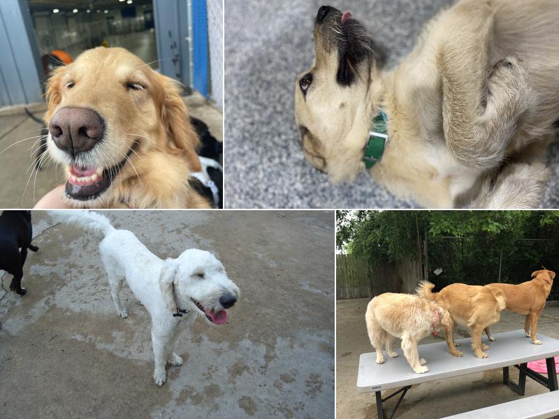 Jackie's Play & Stay