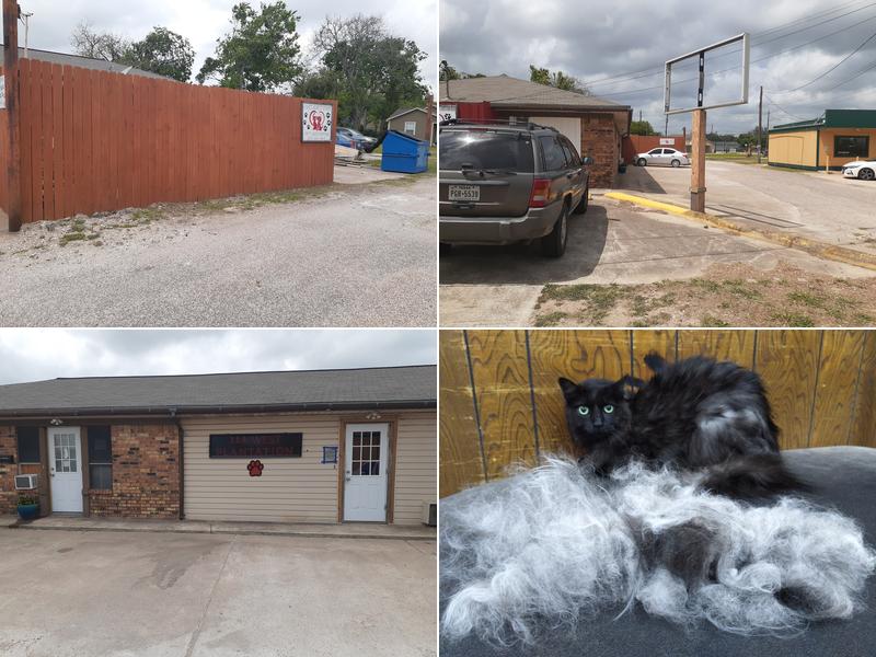 Dawn's Almost Human Pet Grooming