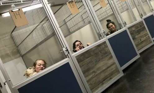 Salty Dog Pet Resort