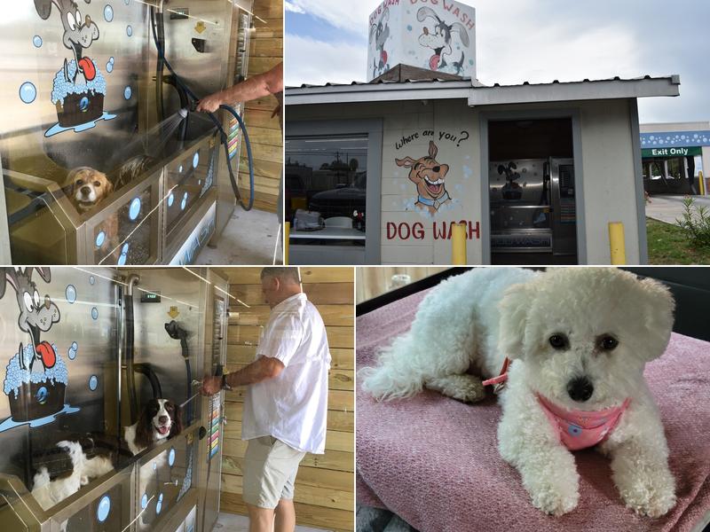 The Rockport Dog Wash
