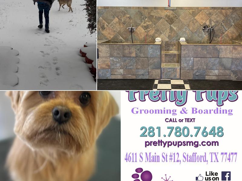 Pretty Pups Grooming