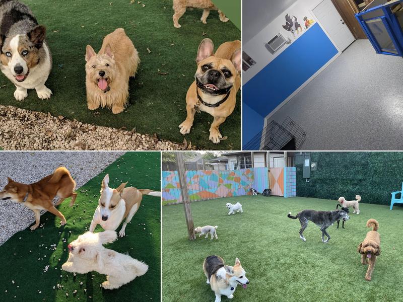Super Paws: Dog Boarding & Daycare