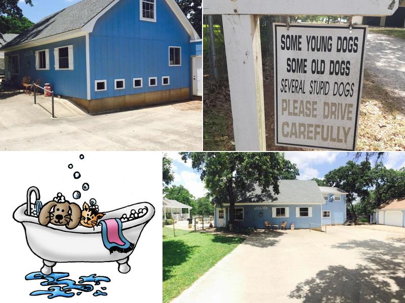 Kellie's Doggie Country Resort