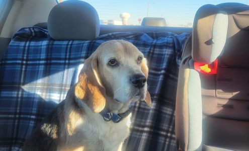 West Texas Veterinary Services