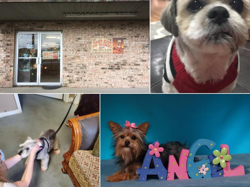 Klassy Klipp Dog Grooming