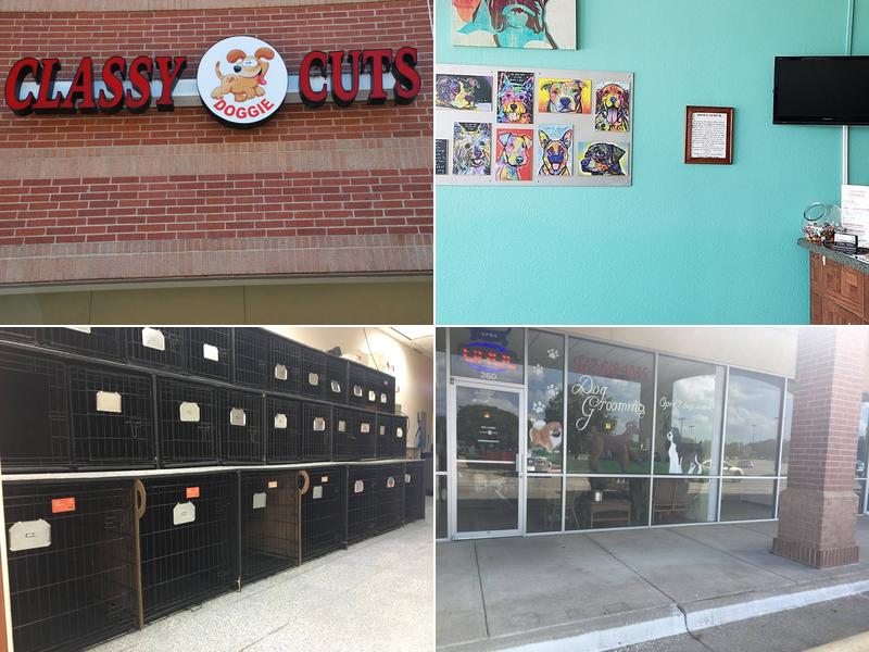 Classy Doggie Cuts LLC