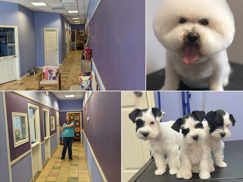 Jessica Cadle Pet Grooming
