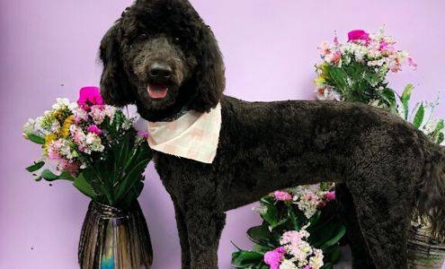Linwoodd Grooming + Pet Resort