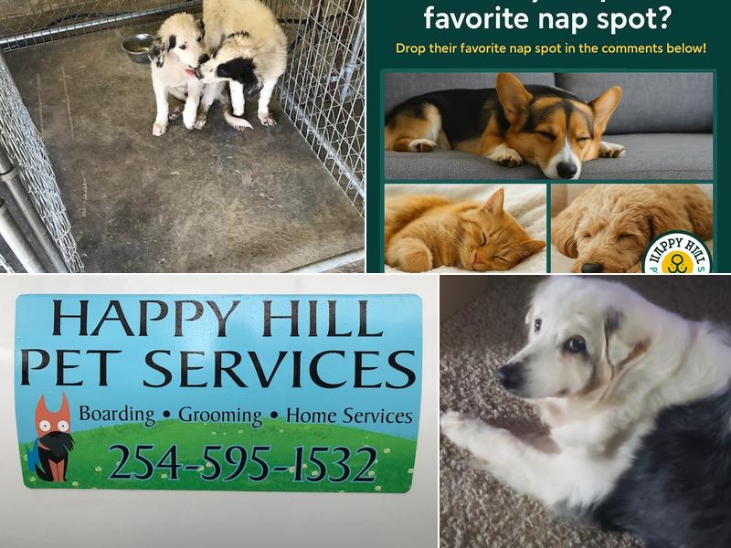 Happy Hill Pet Services LLC