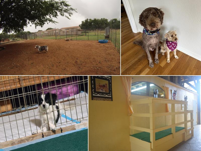 Happy Trails Kennels & Grooming