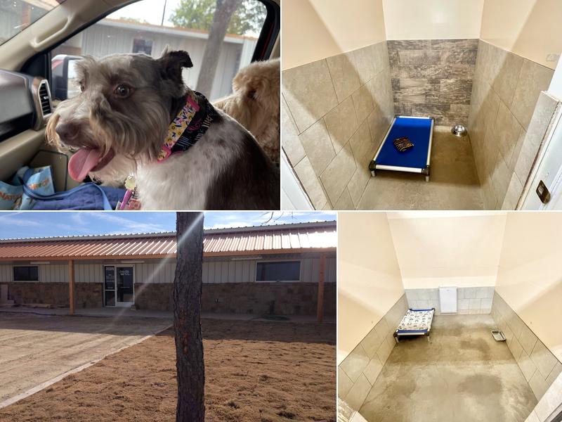 Suite Life Pet Resort & Spa