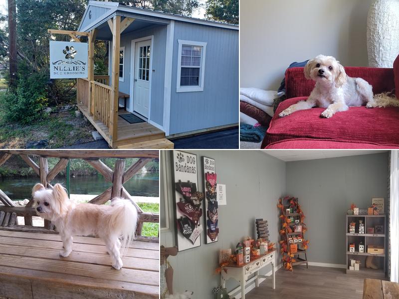Nellie’s Dog Grooming