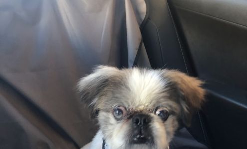 Grooming By Mary 4025 Spring Cypress Rd, Spring Texas 77388