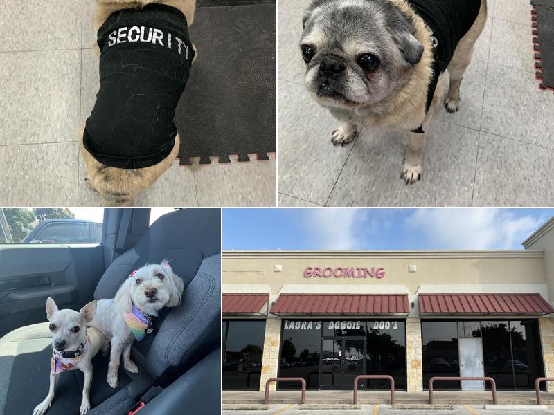 Laura's Doggie Doo's