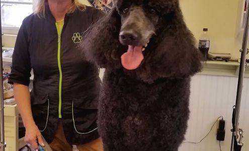 Pet Grooming by Regina 1112 E Avenue K, Alpine Texas 79830