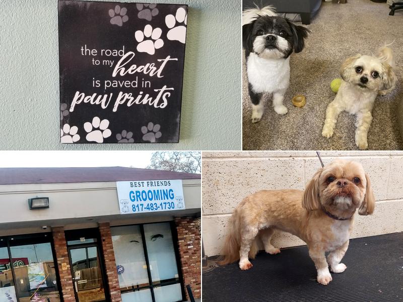 Best Friends Dog Grooming