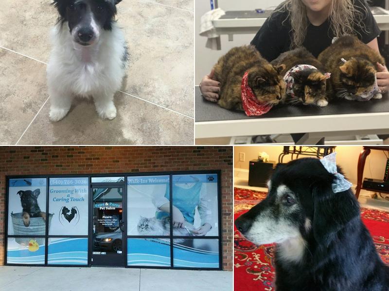 Paws & Purrs Pet Salon