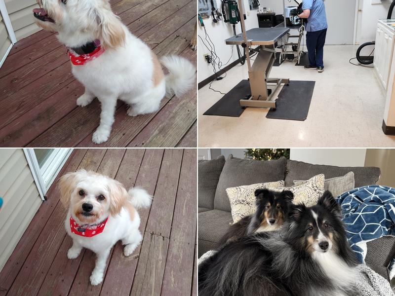 Paws & Claws Pet Salon LLC