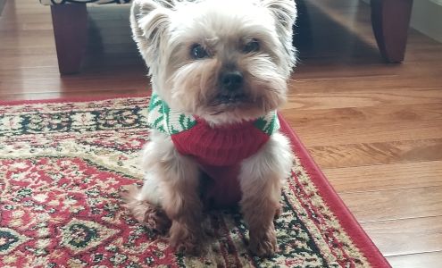 DogWoods Pet Lodge 743 Loop Rd, Elkton Virginia 22827