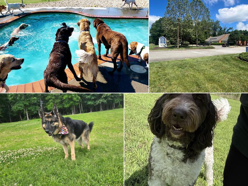 West Chester Pet Resort