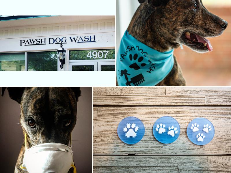 Pawsh Dog Wash