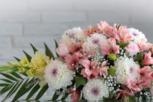 Shaggy Shears Pet Grooming