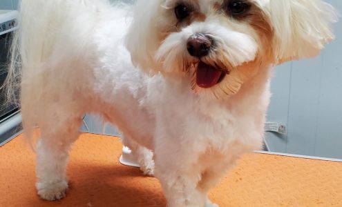 4 Leggers, Daycare, Boarding and Grooming, LLC