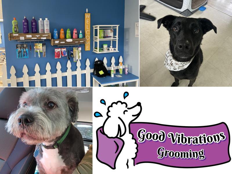 Good Vibrations Grooming