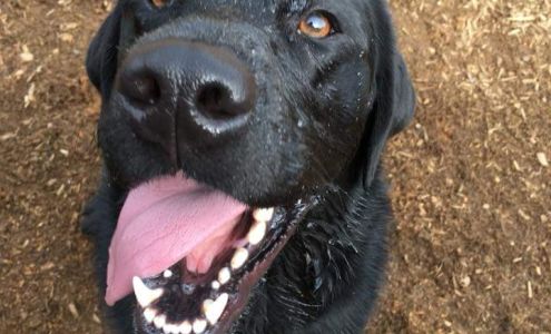 Pacific Northwest Kennels