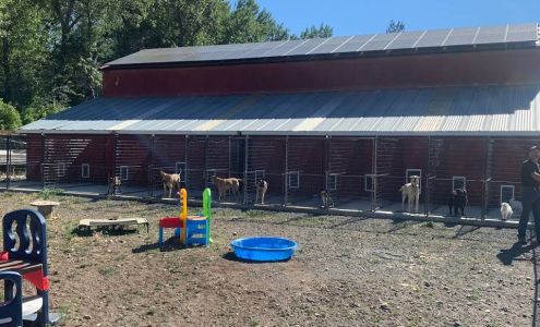 Ellensburg Kennels 430 Klocke Rd, Ellensburg Washington 98926
